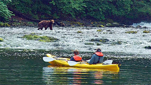 Kayaking to see wildlife