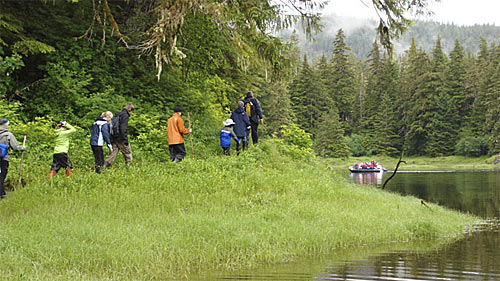 Hike in Alaska's rain forests